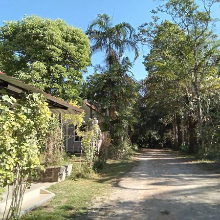 Suan Bang Bon Guest House Plai Phraya Exteriér fotografie