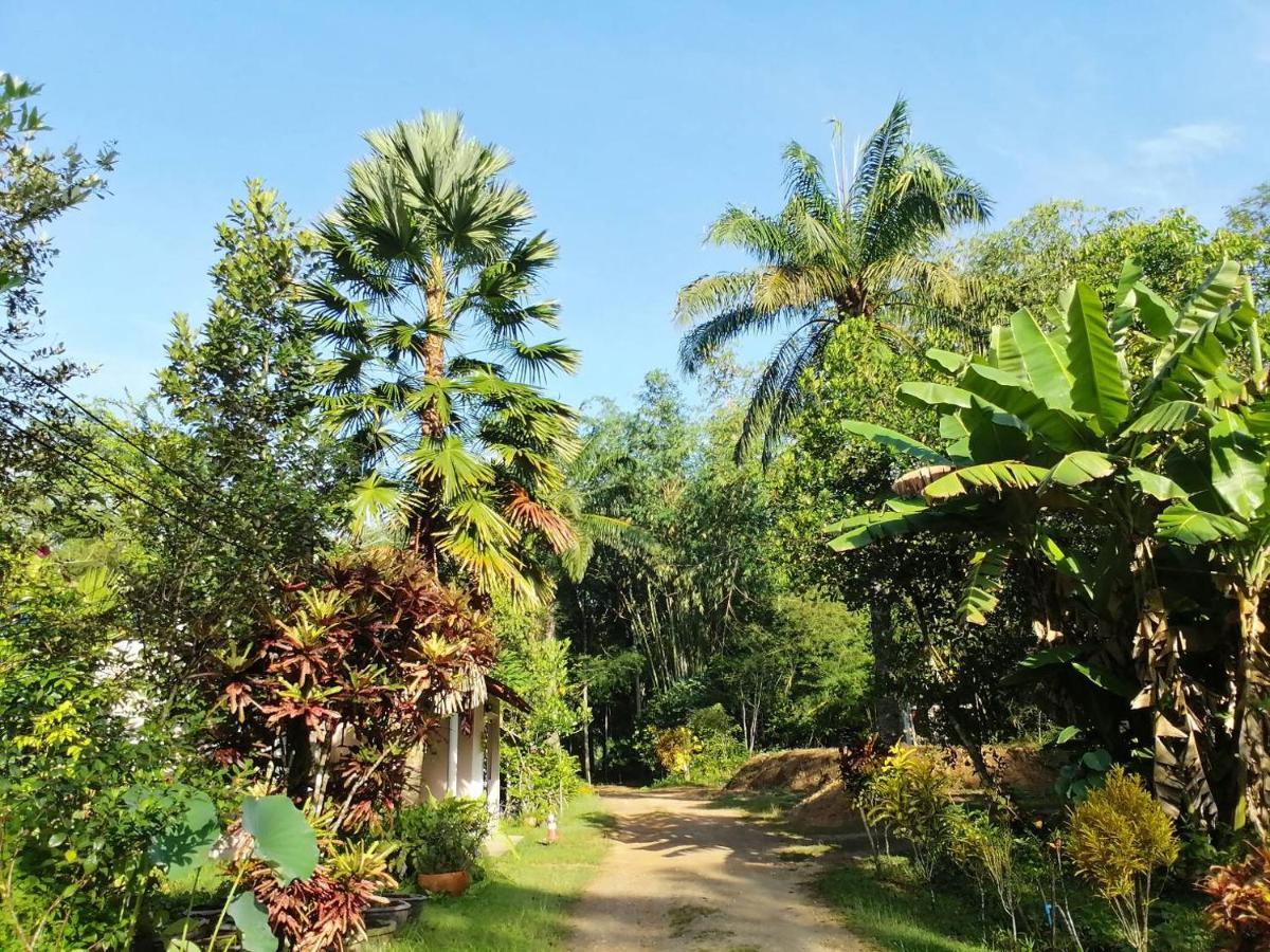 Suan Bang Bon Guest House Plai Phraya Exteriér fotografie