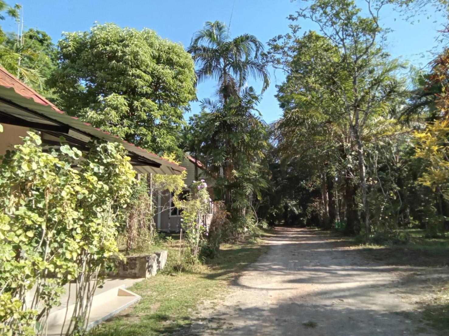 Suan Bang Bon Guest House Plai Phraya Exteriér fotografie